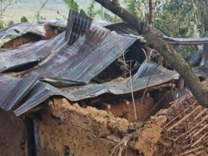 Des bombardements de drones des FARDC touchent des civils à Rutshuru