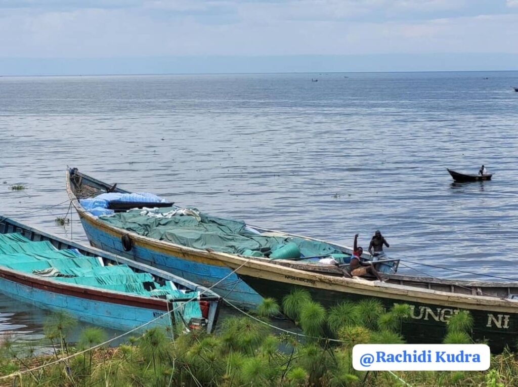 La pêche suspendue dans cinq villages de Djugu après les combats FARDC-CRP