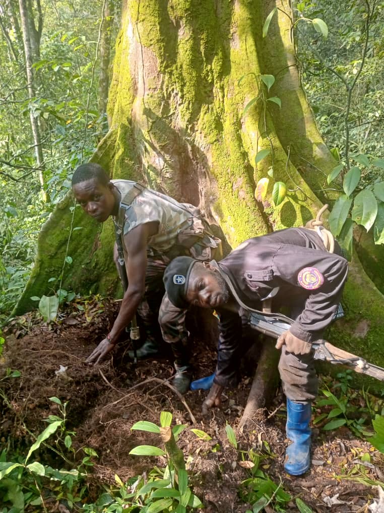 Découverte d’une cache d’armes lourdes et légères à Kisanga 2
