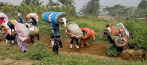 Nord-Kivu : 500 familles fuient Lubero vers Beni face aux attaques de l’ADF 500 familles fuient Lubero vers Beni face aux attaques de l’ADF