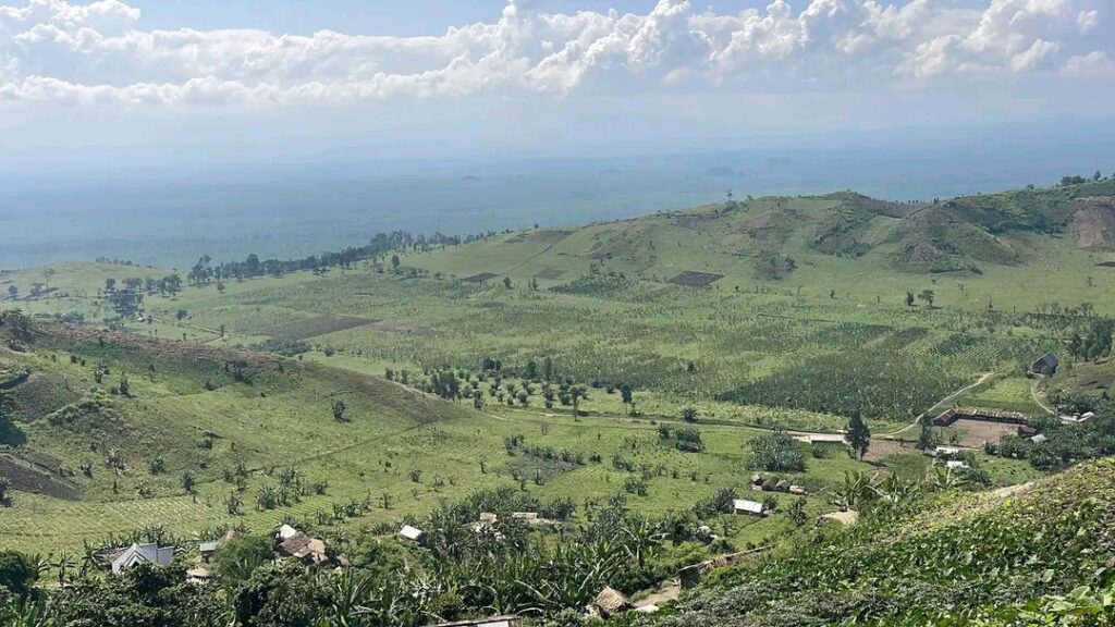 Masisi : l’AFC-M23 reprend Luke après de violents combats l’AFC-M23 reprend Luke après de violents combats