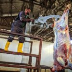 Le prix de la viande de bœuf et de porc fixé provisoirement par la mairie