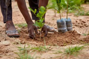 Beni : agents et commerçants dénoncent crise et surtaxation des services de l’environnement agents et commerçants dénoncent crise et surtaxation des services de l’environnement