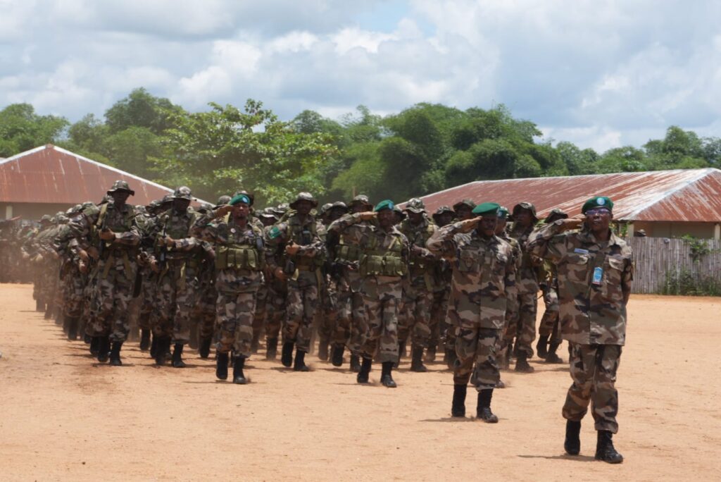 Plus de 700 FARDC formés au combat en jungle par la France