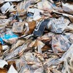 10 tonnes de tilapias avariés détruites à Kasumbalesa