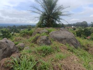 IMG-20260521-WA0006