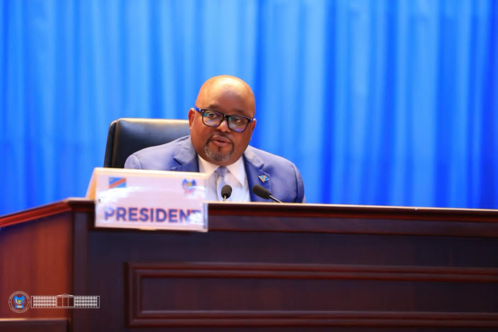 Kinshasa hausse le ton contre Pretoria face aux violences xénophobes visant ses ressortissants