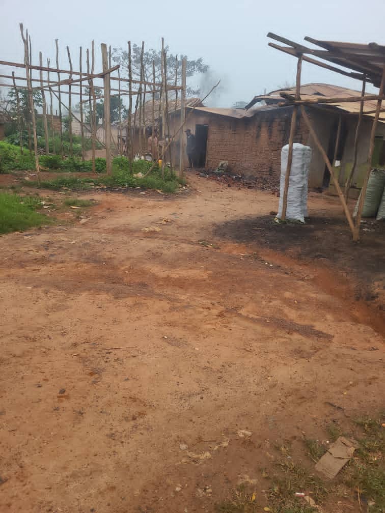 Mambasa : 13 civils tués et 14 personnes enlevées dans une nouvelle attaque attribuée aux ADF à Banana École mambasa