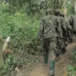 un nouveau groupe armé annonce sa création dans le Ruwenzori