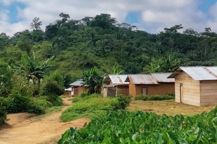 Mambasa : huit corps en attente d’inhumation après des attaques attribuées aux ADF huit corps en attente d’inhumation après des attaques attribuées aux ADF
