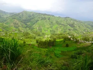 Masisi : Au moins huit personnes tuées dans une attaque armée à Burungu Au moins huit personnes tuées dans une attaque armée à Burungu