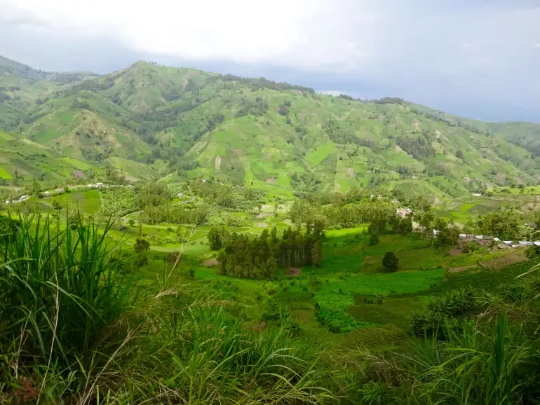 Masisi : violents combats entre l’AFC-M23 et les Wazalendo à Kishee violents combats entre l’AFC-M23 et les Wazalendo à Kishee