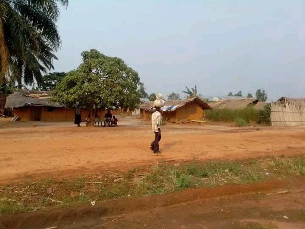 Rutshuru : les affrontements perturbent les activités agricoles à Nyamilima