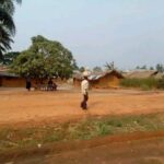 Rutshuru : les affrontements perturbent les activités agricoles à Nyamilima