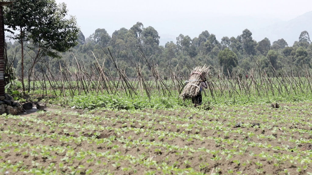 violents combats à Kibati entre l’AFC-M23 et les Wazalendo