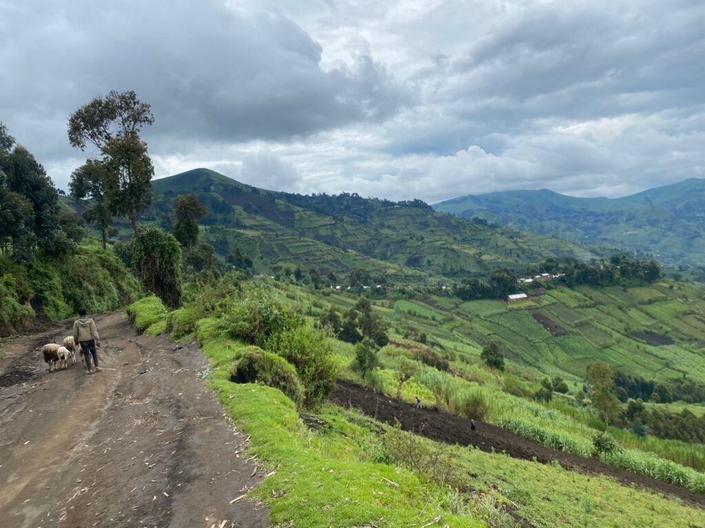Nord-Kivu : violents combats sur l’axe Buhimba-Mahanga violents combats sur l’axe Buhimba-Mahanga