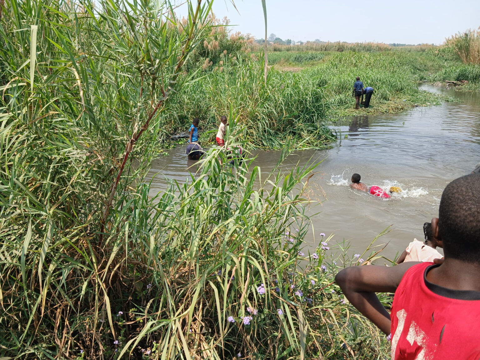 Lubumbashi : une importante mortalité de poissons inquiète une importante mortalité de poissons inquiète