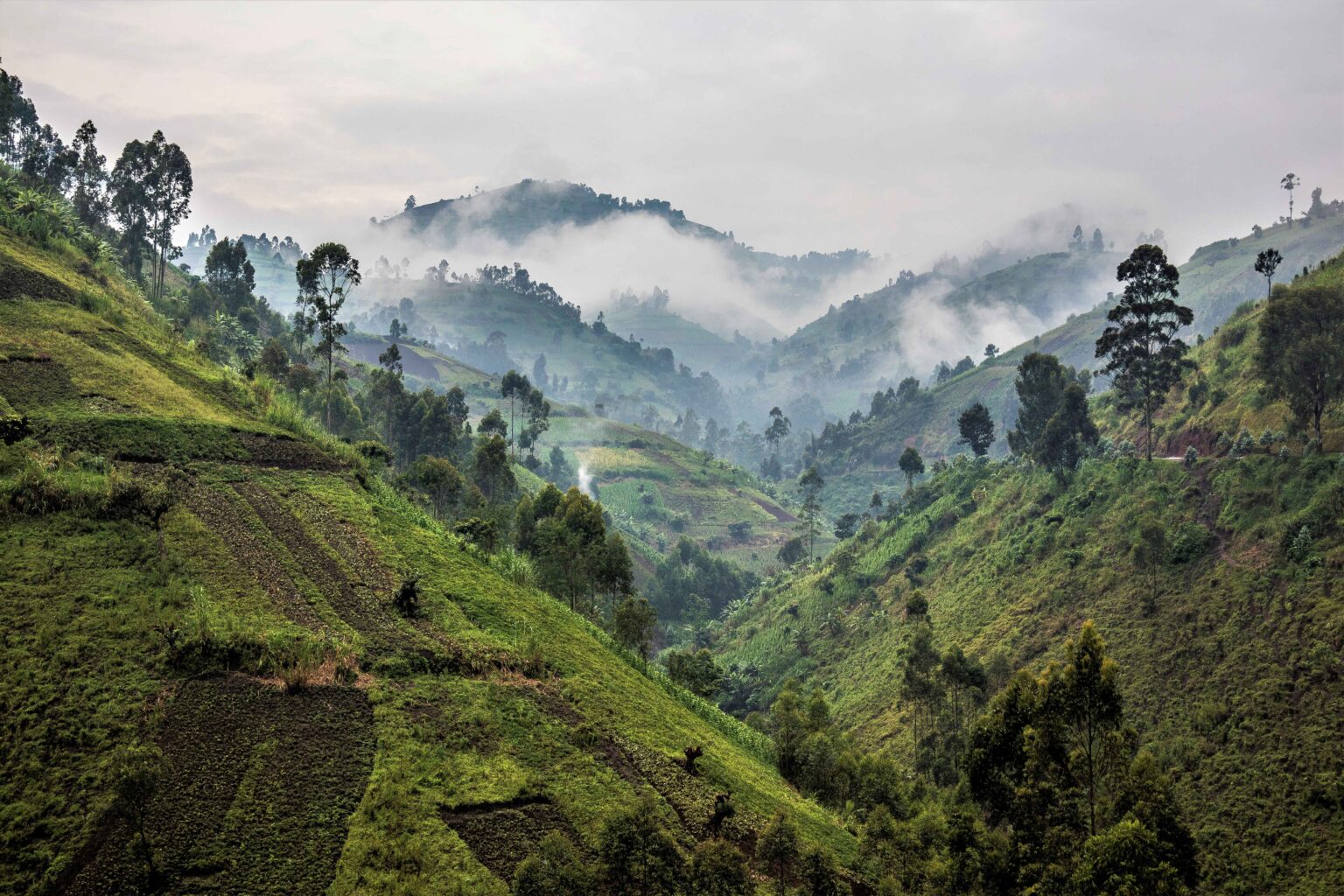 Masisi : violents combats sur l’axe Kasake-Katoyi violents combats sur l’axe Kasake-Katoyi