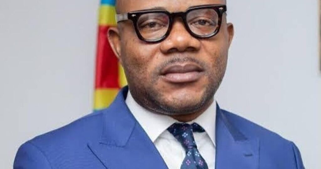 RDC : le ministre des Mines suspend le DG du SAEMAPE RDC : le ministre des Mines suspend le DG du SAEMAPE