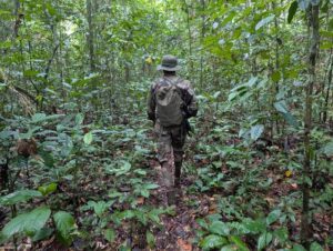 un écogarde tué dans une attaque des ADF-MTM contre la RFO