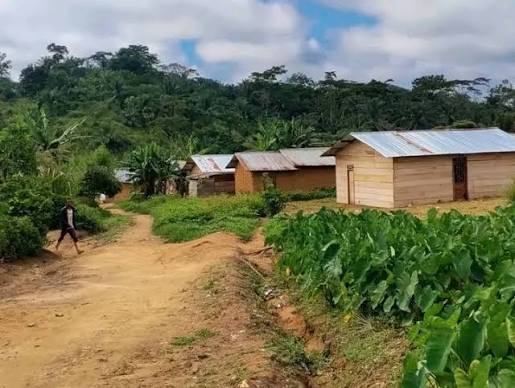 Mambasa : trois morts et un blessé dans des tirs attribués à un militaire à Biakato trois morts et un blessé dans des tirs attribués à un militaire à Biakato